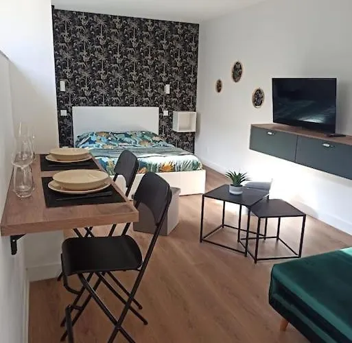 Superbe Appt Avec Cour Et Parking Gratuit A 5min De La Cite Medievale Διαμέρισμα Καρκασόν
